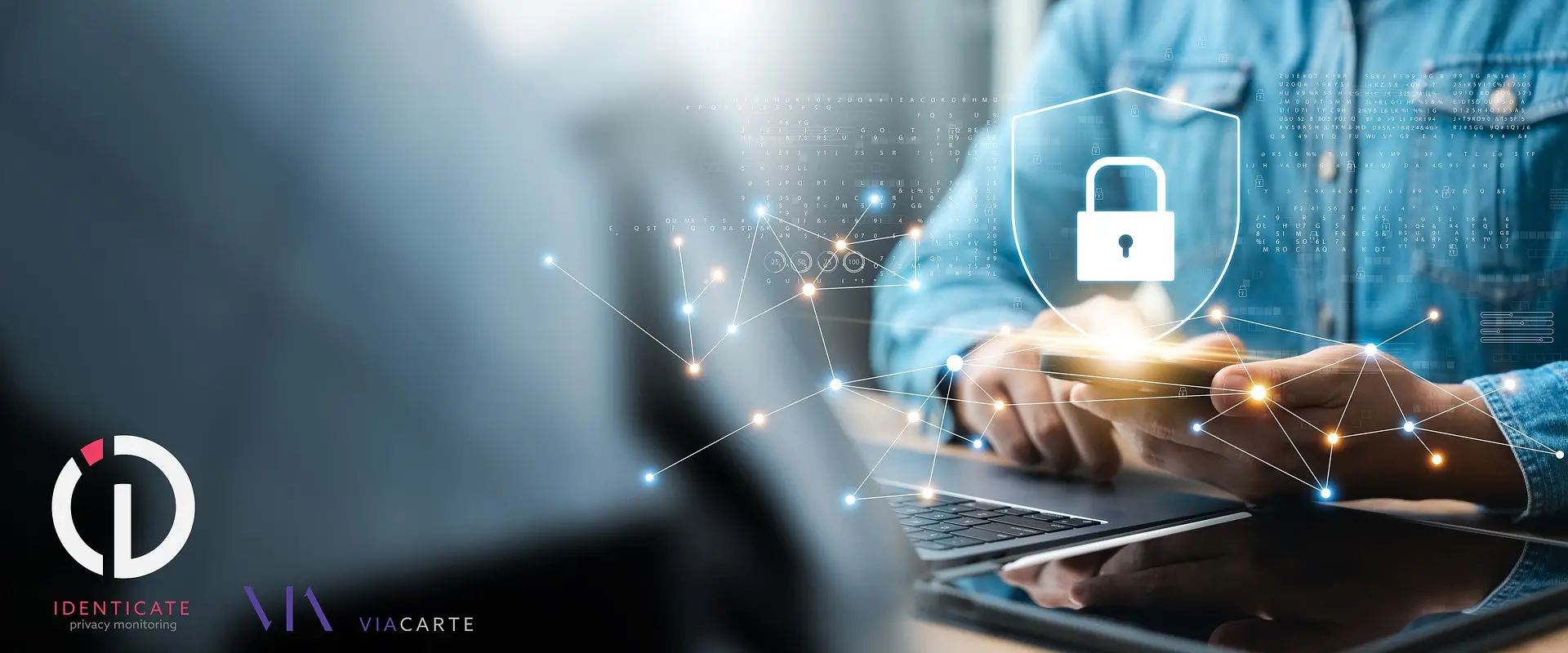 Identicate Privacy Monitoring 1