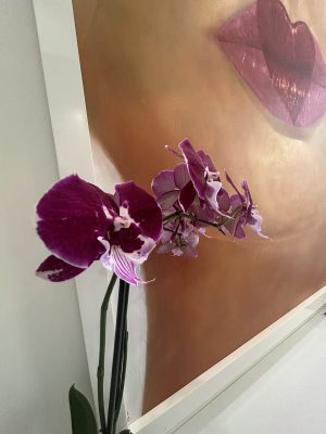 image_processing20250328-9-3va1nu